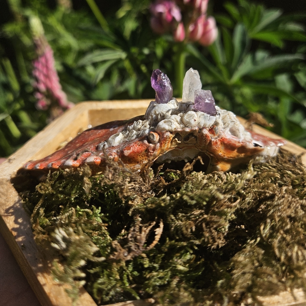 CRYSTAL crab hanger✨️🦀